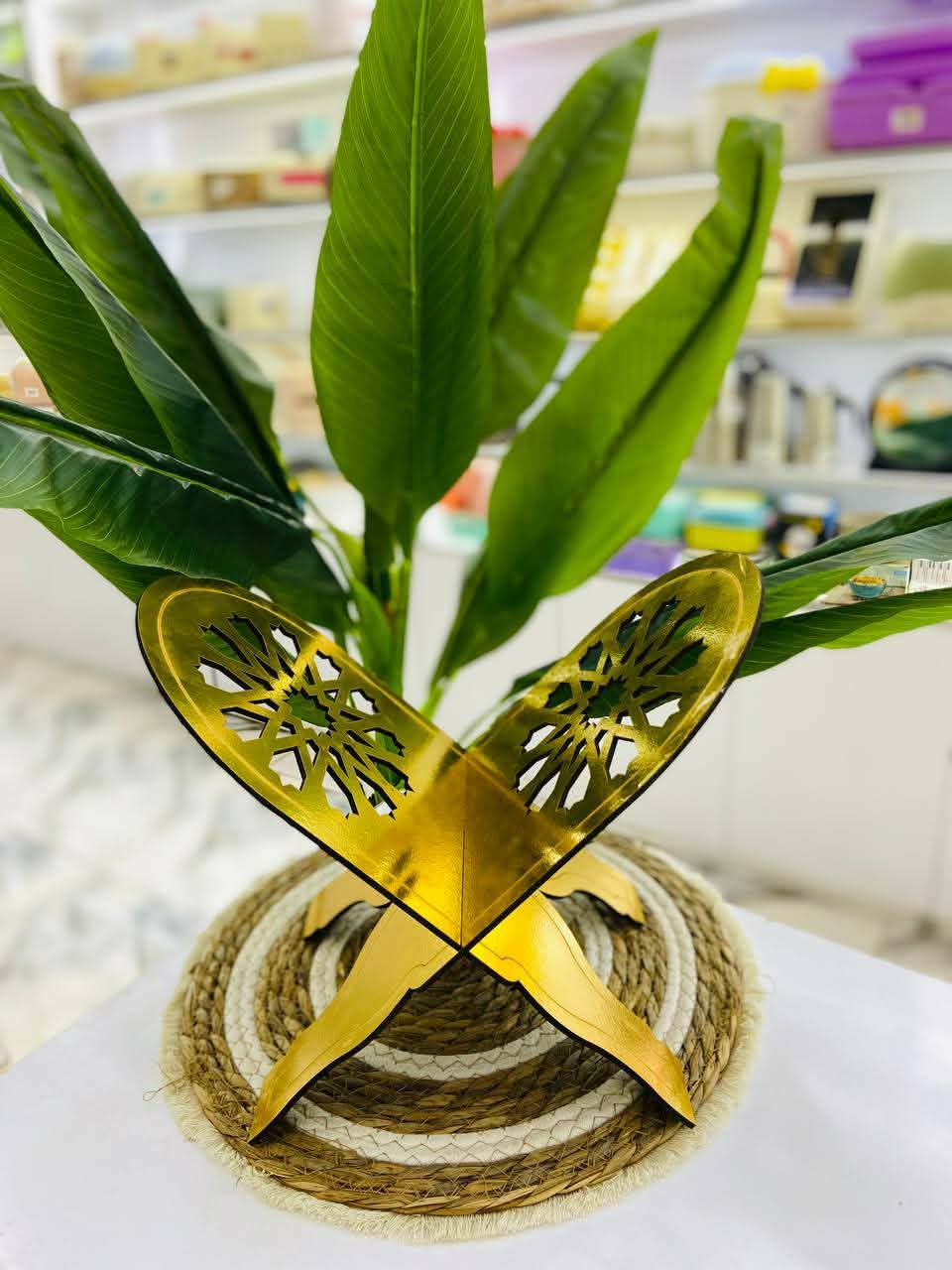 Messenger_creation_F87BDD83-D9E9-40D2-943F-C2193C19668D