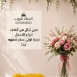 حبل غسيل بلاستك شلل 15 متر سعر القطعه في الدسته 16.66 جنيه